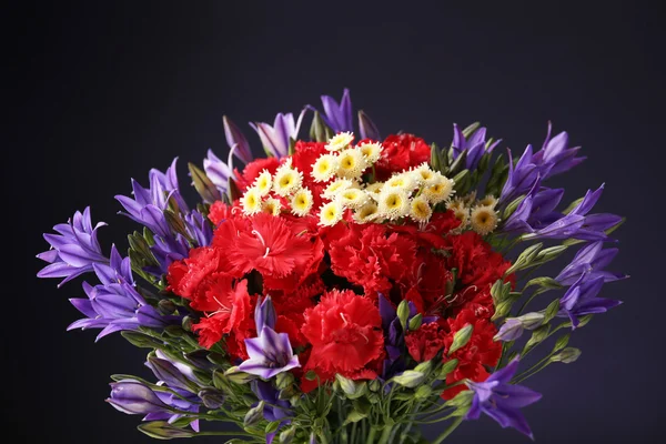 Vackra vilda blommor, på Mörkblå bakgrund — Stockfoto