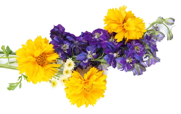 Prachtige wilde bloemen geïsoleerd op wit — Stockfoto