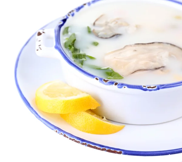 Lekkere soep met oesters, geïsoleerd op wit — Stockfoto