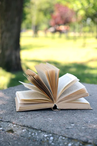 Öppna boken i park utomhus — Stockfoto