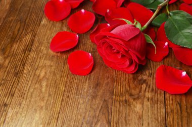 Ahşap arka plan üzerinde kırmızı gül güzel yaprakları