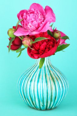 Beautiful pink peonies on blue background clipart