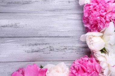 güzel pembe ve beyaz peonies renk ahşap zemin üzerinde