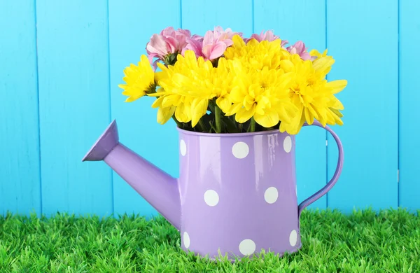 Colorful chrysanthemums in violet watering can — Stock Photo, Image