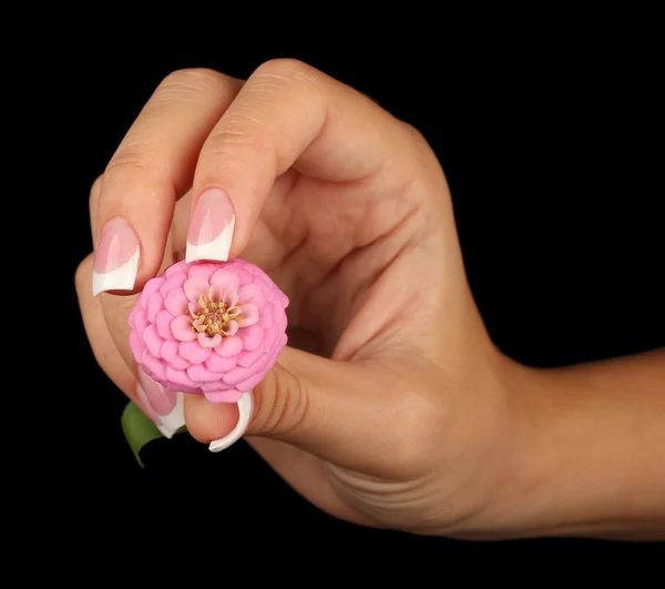 Pink flower with woman's hand on black background — Stock Photo, Image