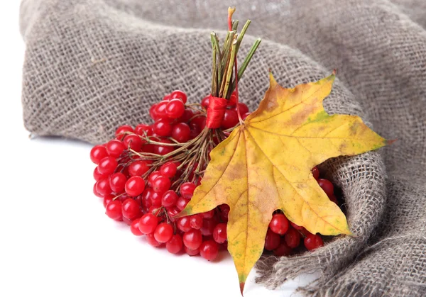 琼花麻布餐巾，孤立白底上的红色浆果 — 图库照片