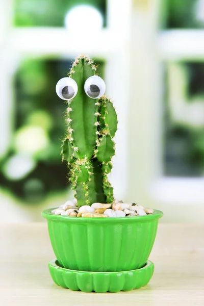 Kaktus i blomkruka med roliga ögon, på trä fönsterkarm — Stockfoto