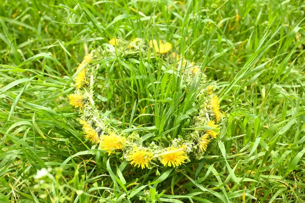 Couronne de pissenlits sur l'herbe, en plein air — Photo
