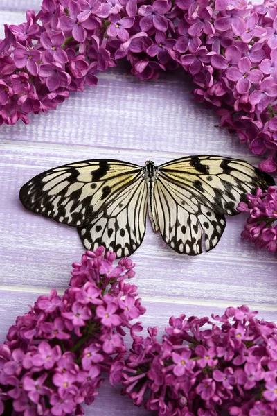 Borboleta bonita e flores lilás, sobre fundo de madeira — Fotografia de Stock