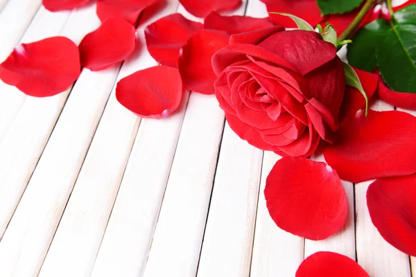 Mooie bloemblaadjes van rode rozen op houten achtergrond — Stockfoto