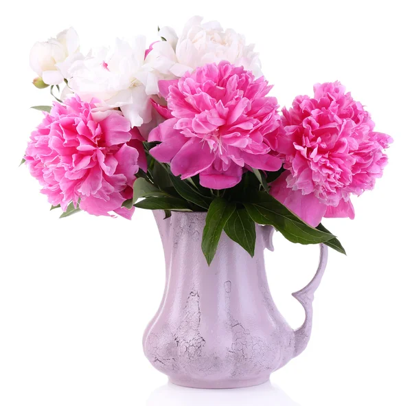 Beautiful pink and white peonies in vase, isolated on white — Stock Photo, Image