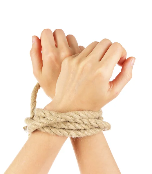 Tied hands, isolated  white — Stock Photo, Image