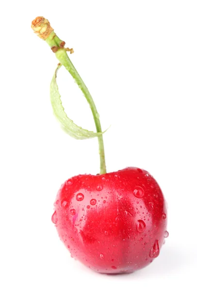 Cereja doce madura, isolada em branco — Fotografia de Stock
