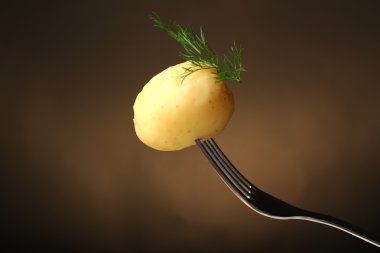 Genç çatal koyu arka plan üzerine patates haşlanmış