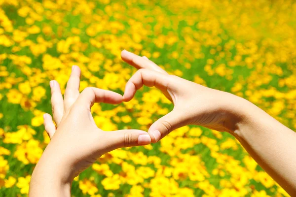 Νεαρή κοπέλα που κρατά τα χέρια στην καρδιά σχήμα διαμόρφωση σε φόντο κίτρινο λουλούδια — Φωτογραφία Αρχείου