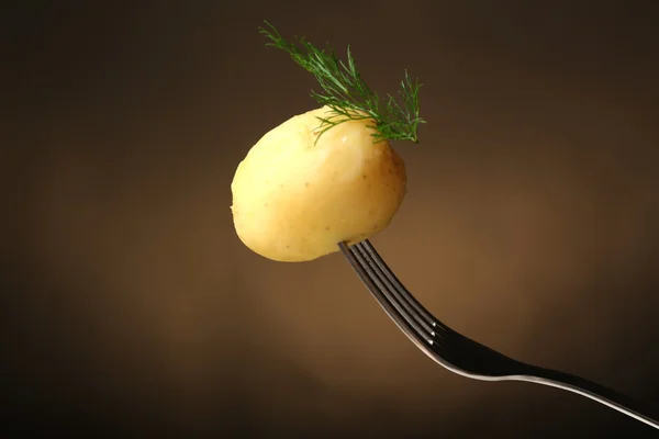 Young boiled potato on fork on dark background — Stock Photo, Image