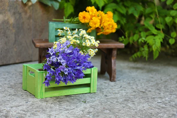 Decoración del jardín con flores silvestres, al aire libre — Foto de Stock