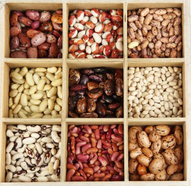 beyaz izole ahşap kutu bölümlerde çeşitli fasulye