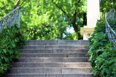 merdiven patika yeşil park