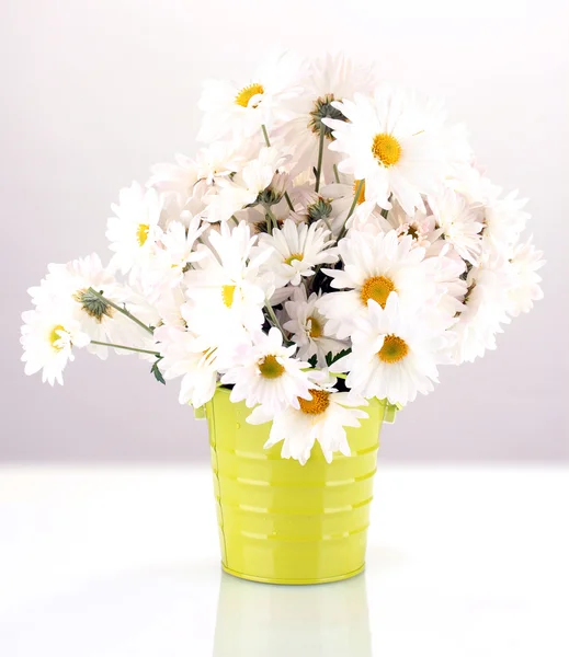 Daisies in vase isolated on white — Stock Photo, Image