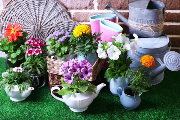 Fleurs dans des pots décoratifs et des outils de jardin sur fond d'herbe verte — Photo