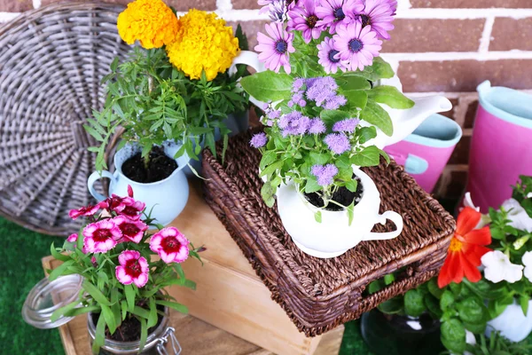 Flores en macetas decorativas y herramientas de jardín sobre hierba verde, sobre fondo de ladrillos — Foto de Stock
