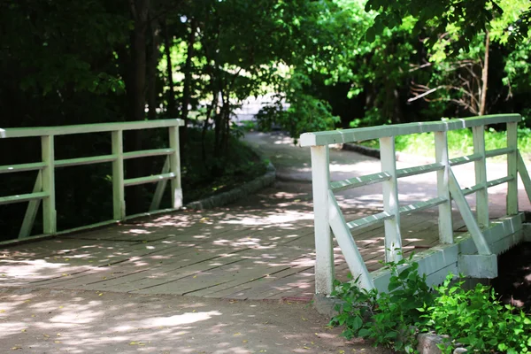 Petit pont dans un parc vert — Photo