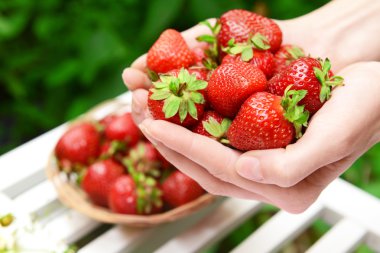 Olgun tatlı çilek parlak zemin üzerine eller içinde