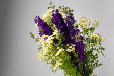 Güzel mor çiçekler beyaz üzerine izole edilmiş