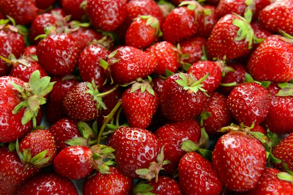 成熟的甜草莓特写 — 图库照片