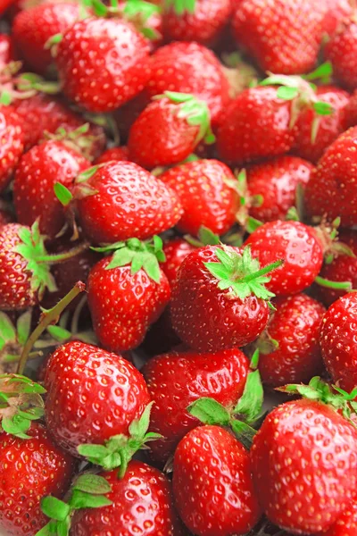 Zralé sladké jahody close-up — Stock fotografie