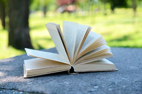 Libro abierto en el parque al aire libre —  Fotos de Stock