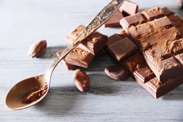 Cocoa powder and dark chocolate — Stock Photo, Image