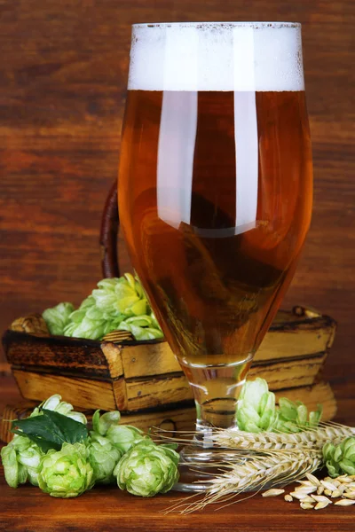 Glass of beer and hops — Stock Photo, Image