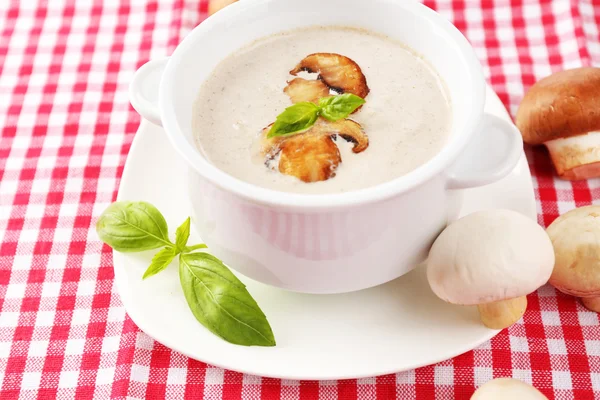 Mushroom soup in white pot — Stock Photo, Image