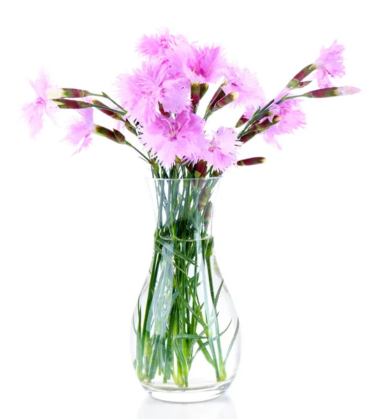 Belles fleurs lilas dans un vase — Photo