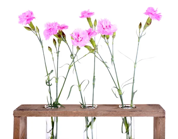 Krásné letní květiny do vázy — Stock fotografie