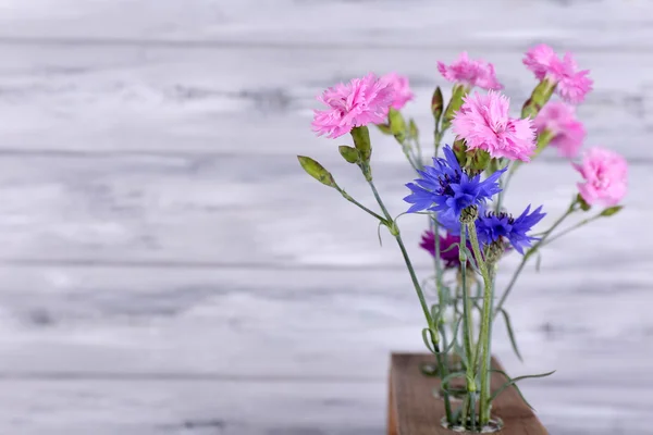 Bellissimi fiori estivi in vasi — Foto Stock