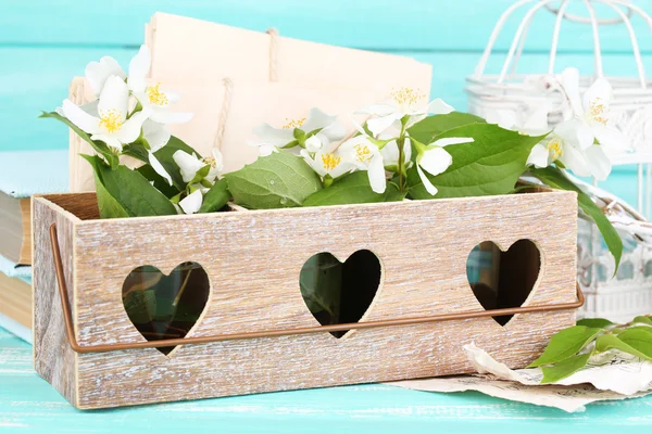 Spring composition with jasmine flowers — Stock Photo, Image