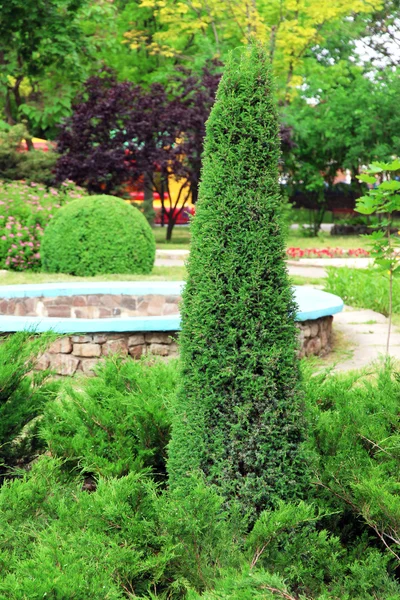 Zelené město park krajina — Stock fotografie