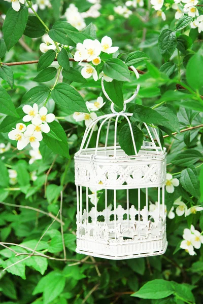 Cage à oiseaux vintage blanche suspendue à une branche — Photo