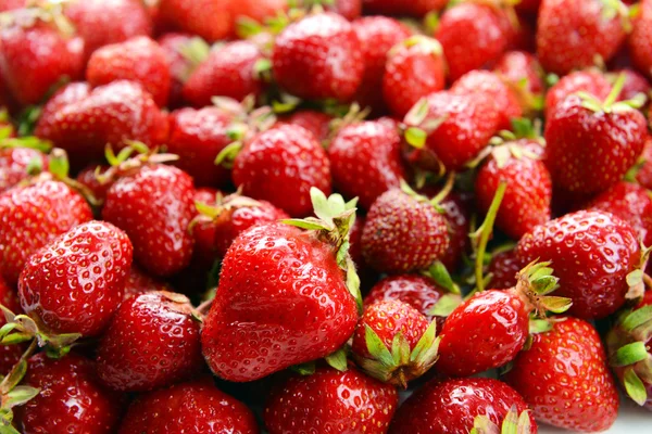 Gros plan sur les fraises — Photo