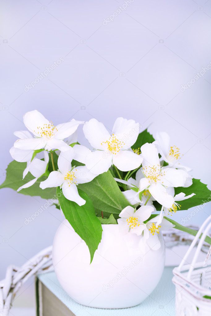 Spring composition with jasmine flowers