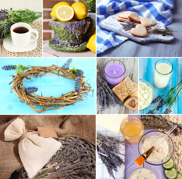 Lavender collage — Stock Photo, Image