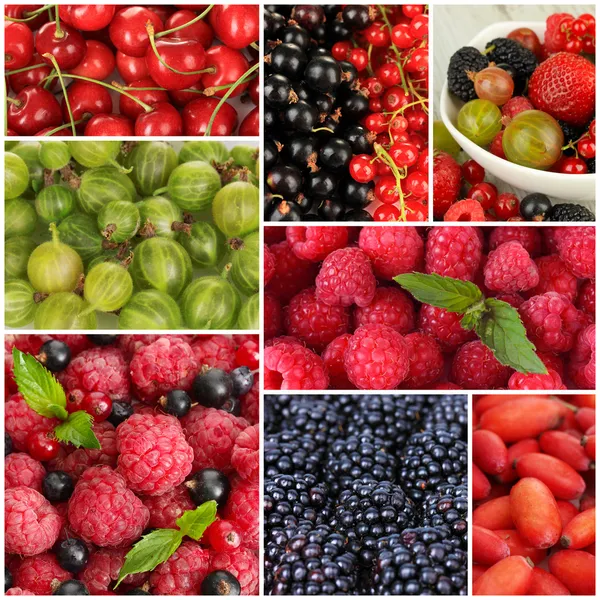 Collage of berries close-up — Stock Photo, Image