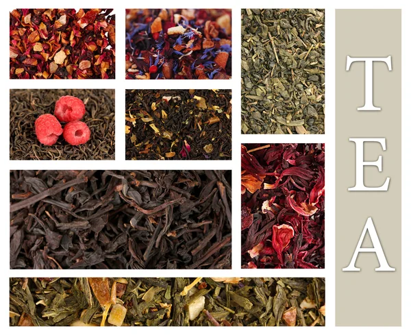 Tea collage — Stock Photo, Image