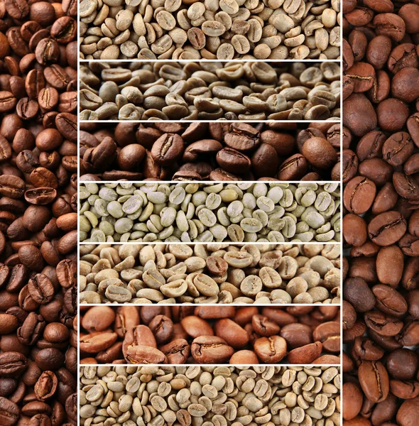 Collage de diferentes granos de café — Foto de Stock