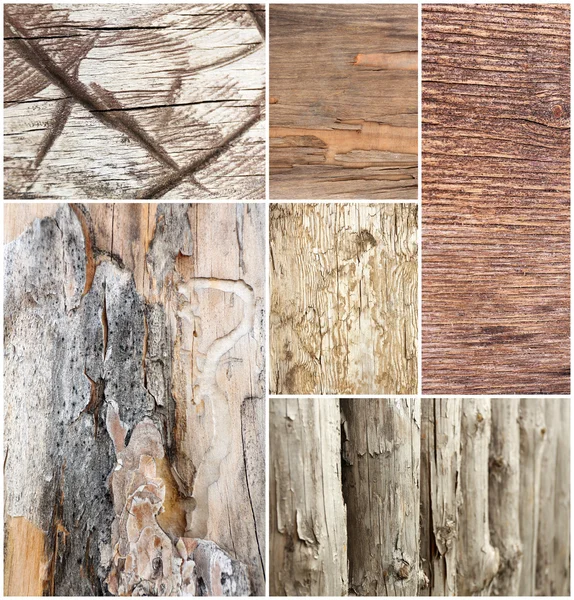 Koláž ze staré dřevěné textury — Stockfoto