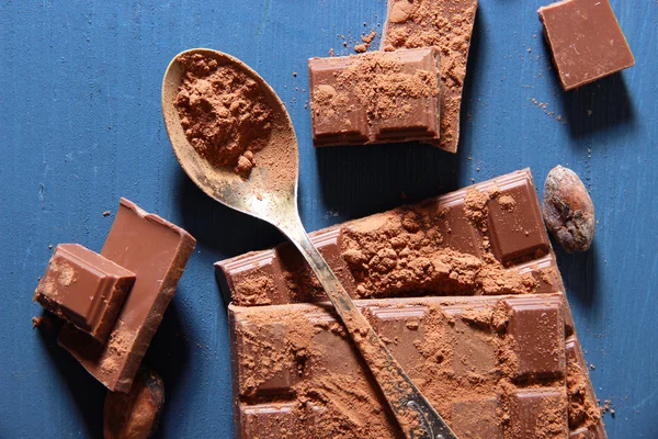 Cocoa powder and dark chocolate — Stock Photo, Image