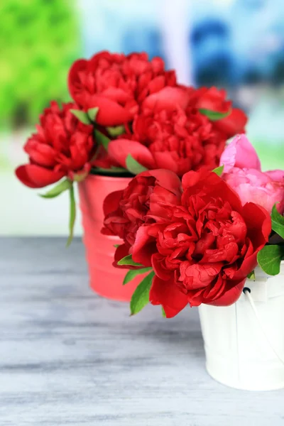 Indah peonies merah muda — Stok Foto